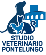 Studio Veterinario Pontelungo