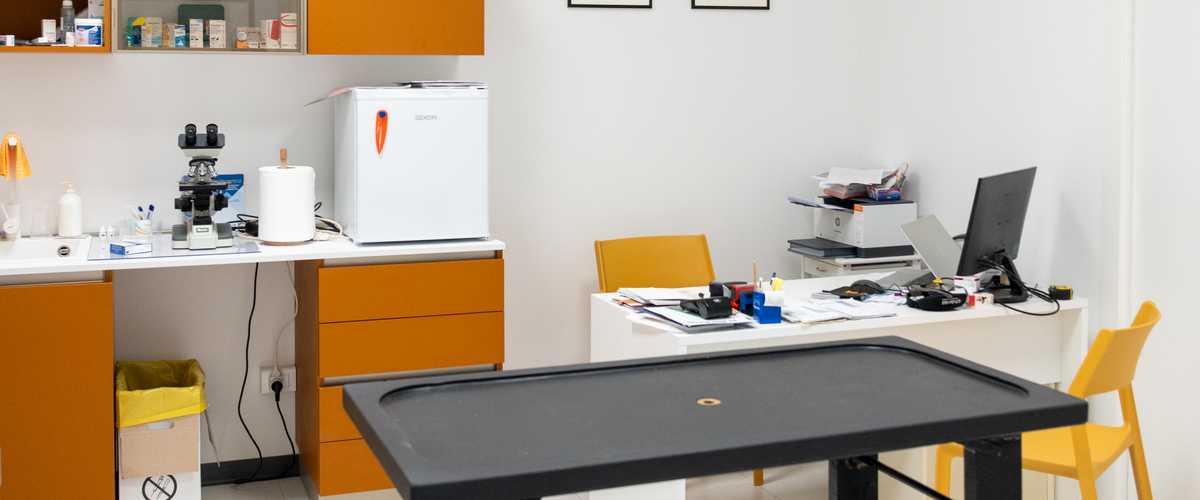 Studio Veterinario Professionale