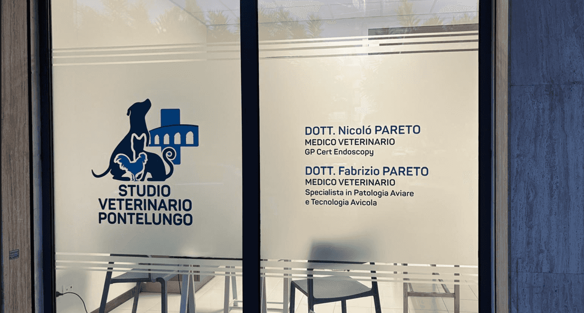 Struttura All'avanguardia